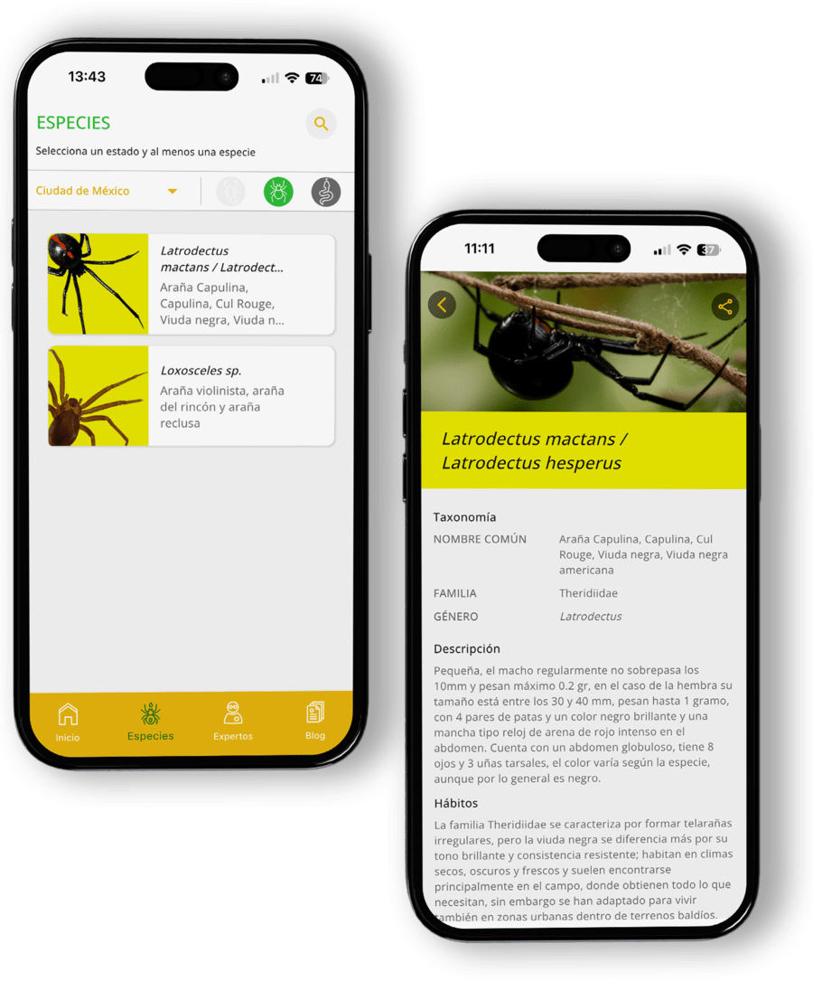 Identifica especies venenosas