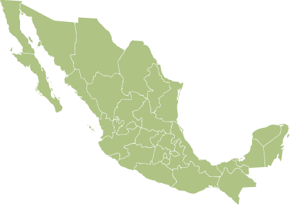 Las arañas están ampliamente distribuidas en todo México