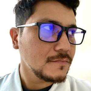 Francisco Yonatan Segura Bacelis